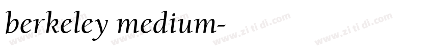 berkeley medium字体转换 berkeley medium字体转换